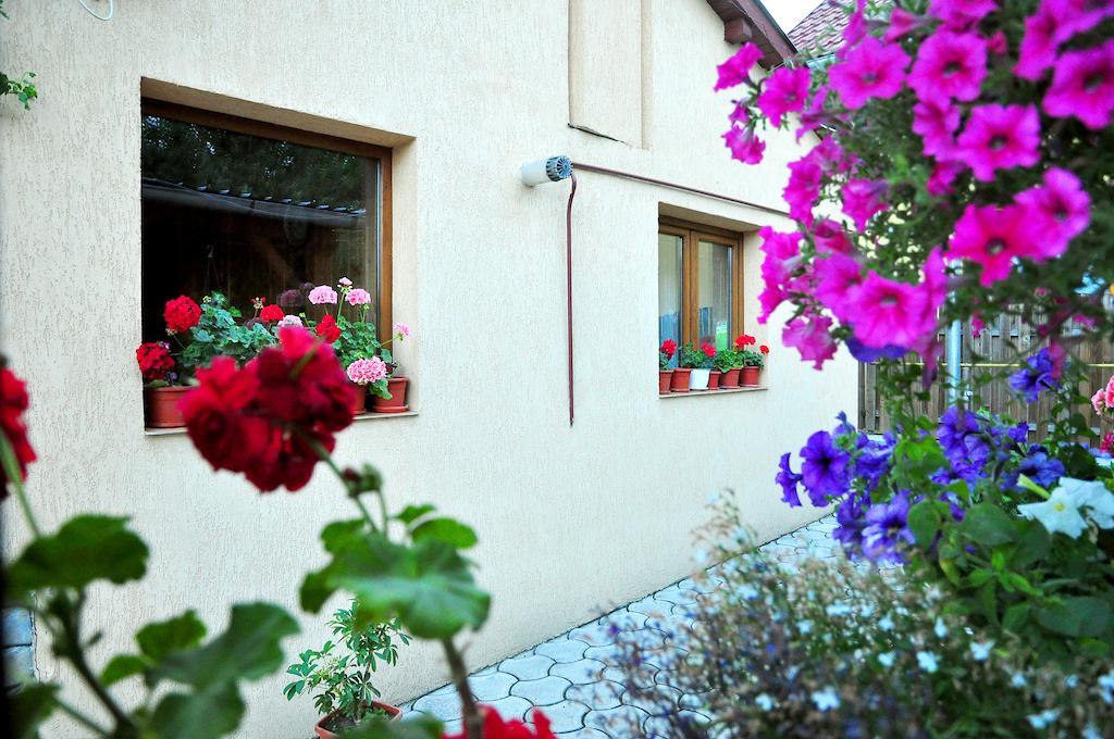 ホテル Casa Maria グラ・フモアルルイ エクステリア 写真
